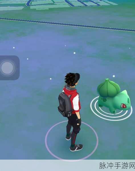 精灵宝可梦Go,全面解析精灵放生系统