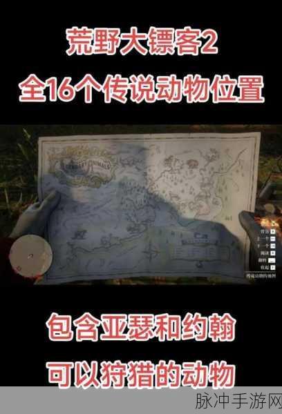 荒野大镖客2美洲狮狩猎指南,必刷位置与攻略详解