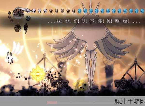 空洞骑士探险深度指南,揭秘巢穴隐秘角落,探寻制图师的奥秘