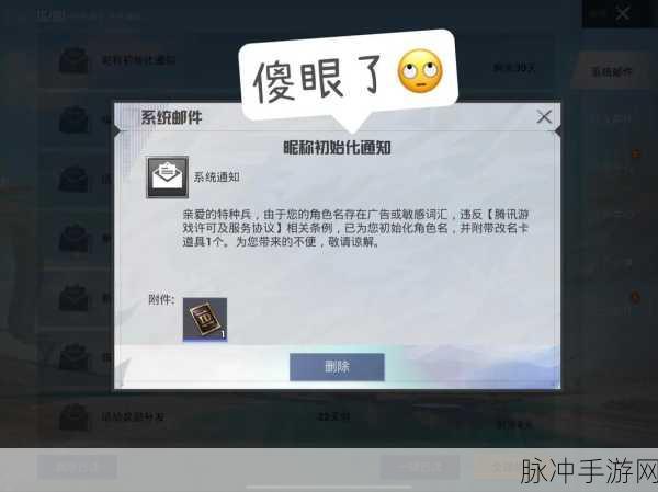 和平精英深度攻略，改名卡获取秘籍与提升战斗技巧的五大策略