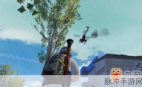 特种吃鸡精英手游,热血枪战,精英对决的极致体验