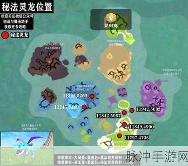 创造与魔法，揭秘秘法灵龙的极品资质与捕捉攻略
