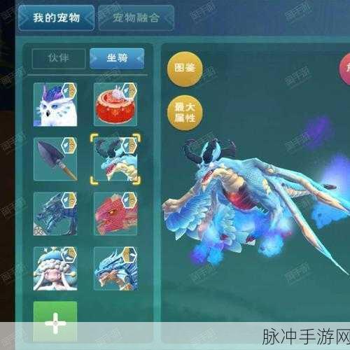 创造与魔法,揭秘秘法灵龙的极品资质与捕捉攻略