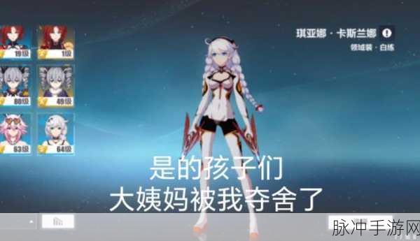 崩坏3领域装·白练技能加点攻略,实战解析与高效加点指南