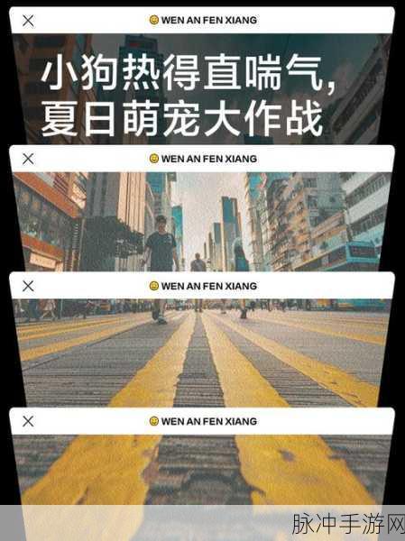 萌宠宠大作战,国服手机下载全攻略与弹幕互动新体验