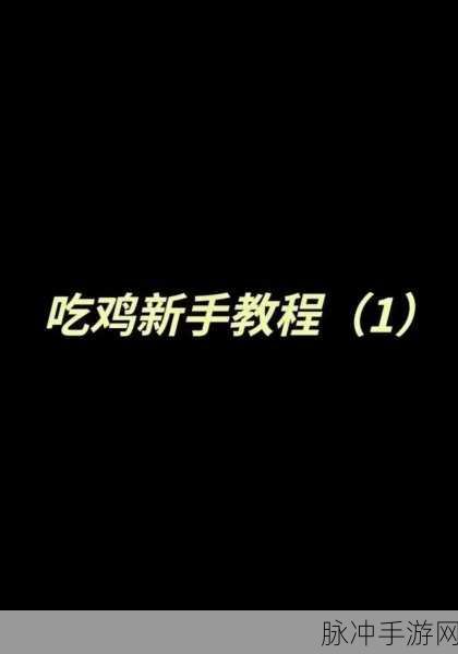 和平精英游戏攻略，如何高效解散和平精英小队？