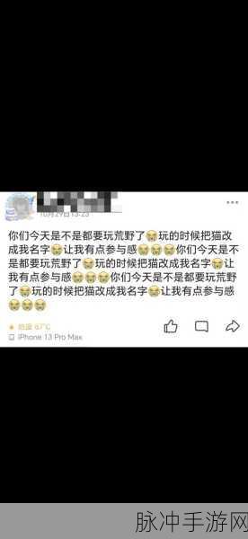 怪物猎人世界,详解角色改名方法与注意事项