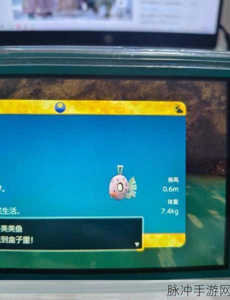 以闪亮之名小丑鱼之家活动玩法深度攻略分享
