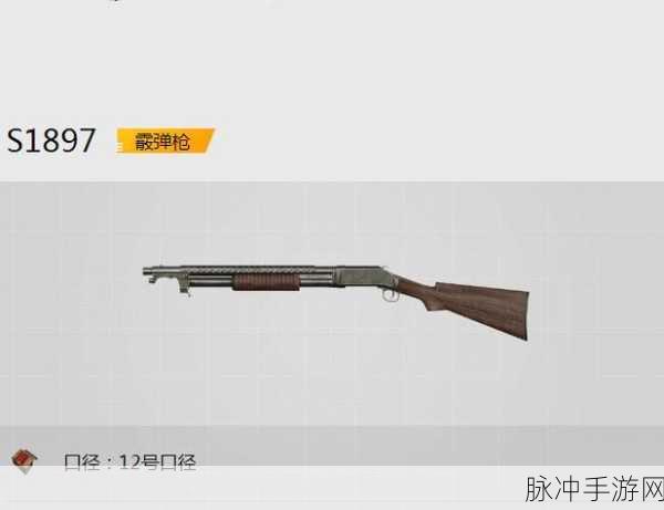 和平精英新宠，短管霰弹枪深度解析与实战技巧