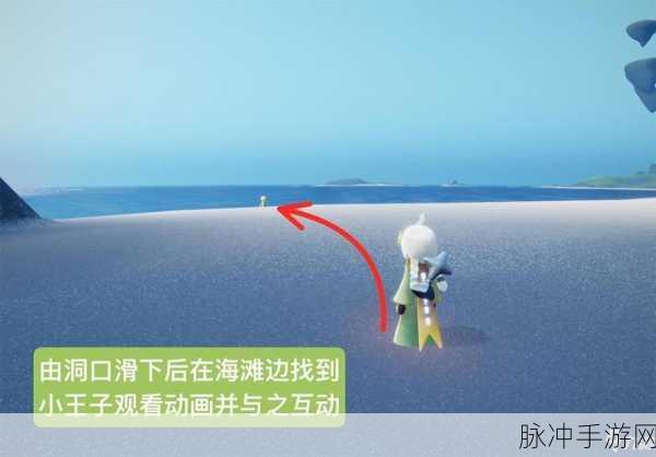 光遇花园迷宫探险,揭秘小王子躲藏位置全攻略