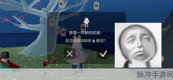光遇花园迷宫探险,揭秘小王子躲藏位置全攻略