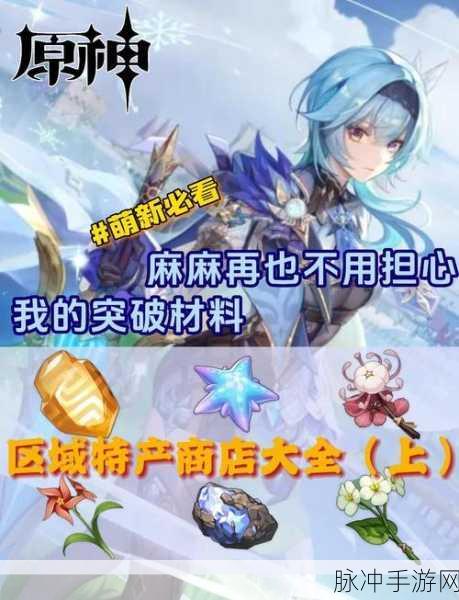 原神货比两价攻略,实战策略与性价比购物指南