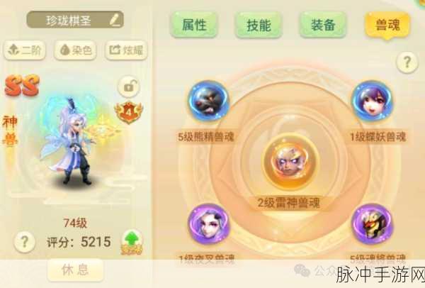 西游女儿国手游宠物装备系统深度解析与攻略