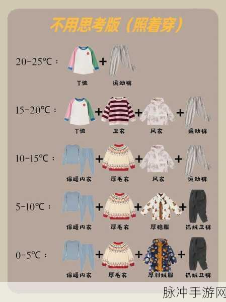 衣服排序手机版，简单有趣的益智游戏攻略指南