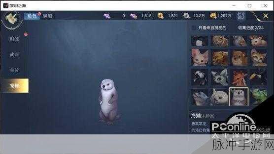 泰拉瑞亚探险指南,揭秘冰冻乌龟最多的出没地