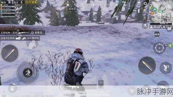和平精英滑雪板刷新位置全攻略,解锁雪地飞驰的秘密