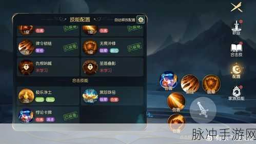揭秘有杀气童话中合击技能,使用条件及详细攻略,你掌握了吗?