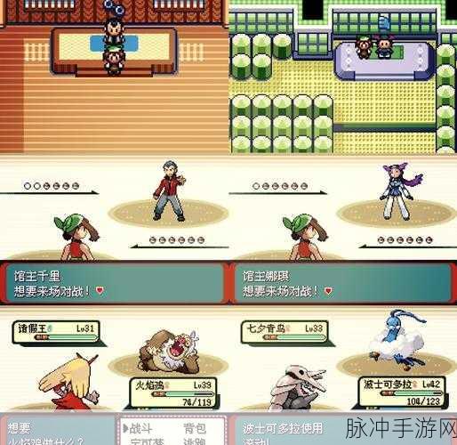 口袋妖怪究极绿宝石II,挑战霸主全面攻略