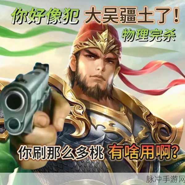 笑翻全场,三国杀坑爹集锦第二季震撼来袭,策略与笑料的完美碰撞!