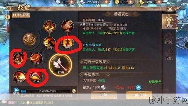 轩辕传奇手游深度攻略,揭秘白金城战规则与战术要点