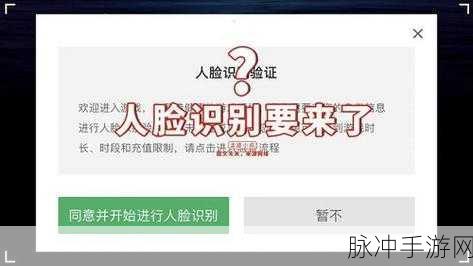 光遇人脸识别验证详解,如何触发及应对策略
