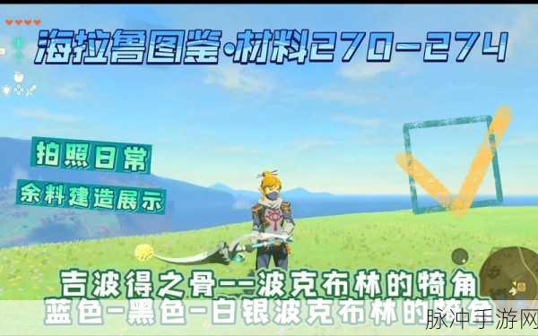 塞尔达波克布林肝脏，解锁游戏制药新境界的珍贵材料
