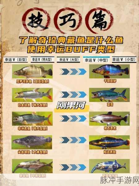 创造与魔法鮟鱇鱼垂钓攻略，揭秘高爆率钓点
