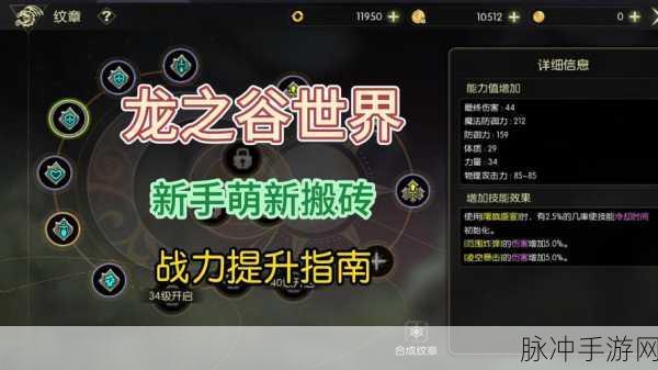龙之谷手游时空领主,最佳纹章搭配策略揭秘与战斗力提升指南