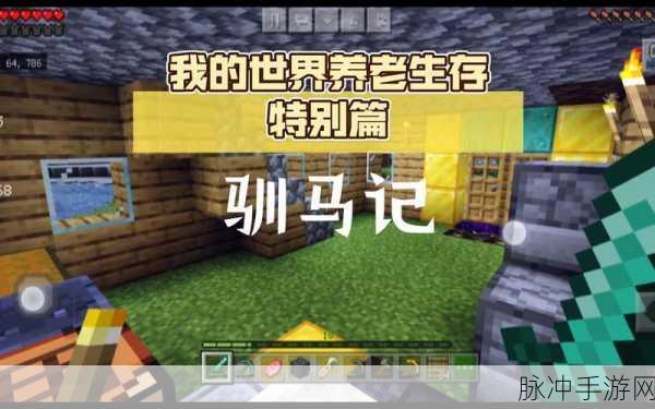 我的世界手游,驯马之旅——探索未知的骑乘世界全攻略