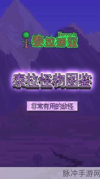 泰拉瑞亚手游悠悠球使用技巧与多球攻略