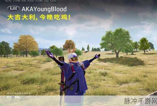 决斗之城高手进阶,揭秘吃鸡的正确姿势