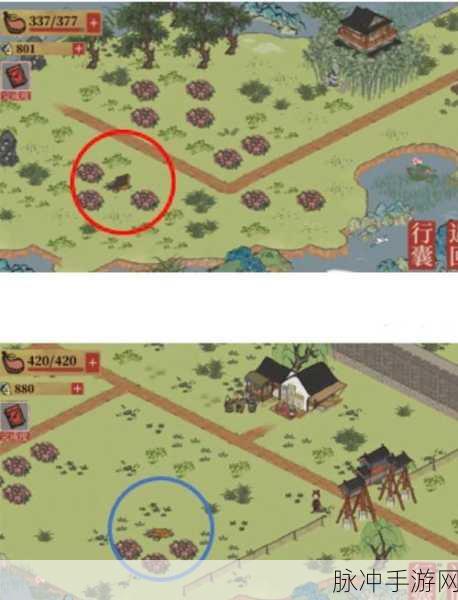 江南百景图深度攻略，自在熊迷宫全解析
