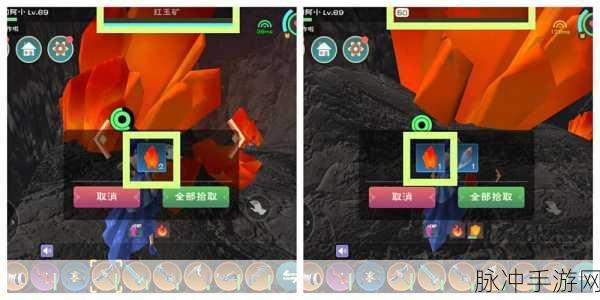 创造与魔法红玉珍稀用途揭秘，深入探索魔法世界的无限可能