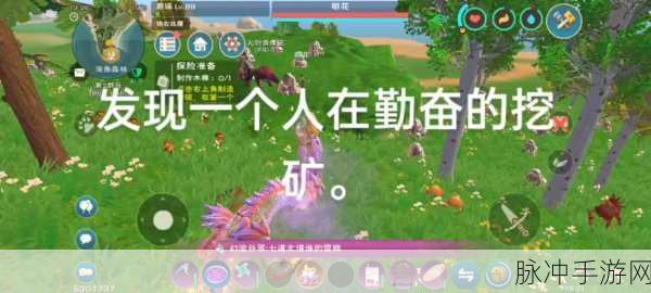 创造与魔法红玉珍稀用途揭秘,深入探索魔法世界的无限可能