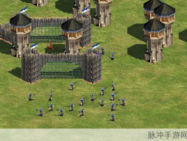 帝国时代2揭秘,探寻最强兵种所属国家,策略对决全面升级