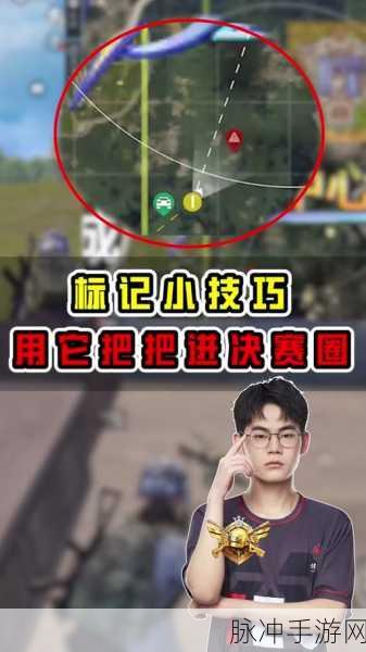 和平精英深度攻略,精准掌握,如何看到队友的小鸡标识