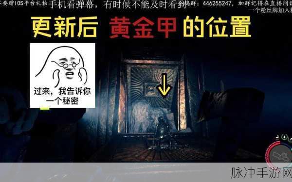森林之子黄金甲获取攻略与黄金位置全解析