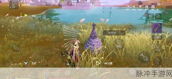 新攻略揭秘，如何在妄想山海游戏中高效捕获金刚鹦鹉，探索奇幻世界