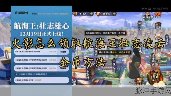 航海王热血航线同盟资金获取全攻略，助你轻松积累游戏财富
