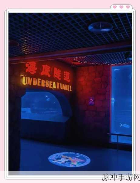 梦幻西游手游时光绘梦,深入海底世界的全面攻略