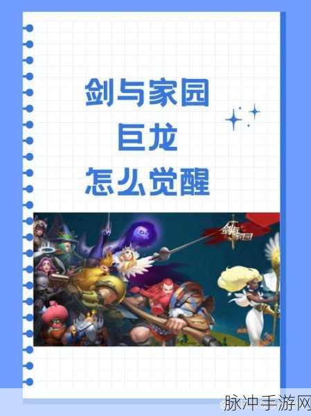 巨龙之战新手攻略，揭秘萌新玩家如何实现快速升级的独家秘籍