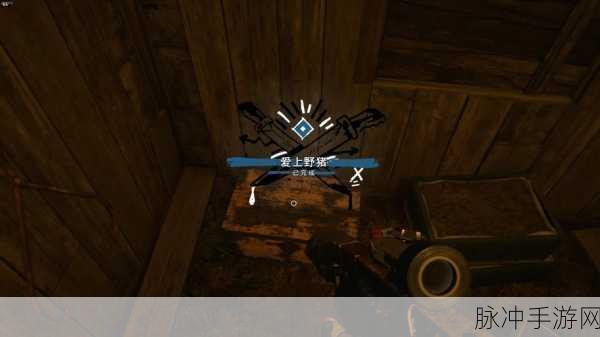 孤岛惊魂3手游卡顿解决策略,全方位优化指南