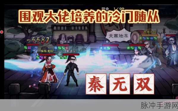 烟雨江湖秦无双,前排还是后排的全面解析