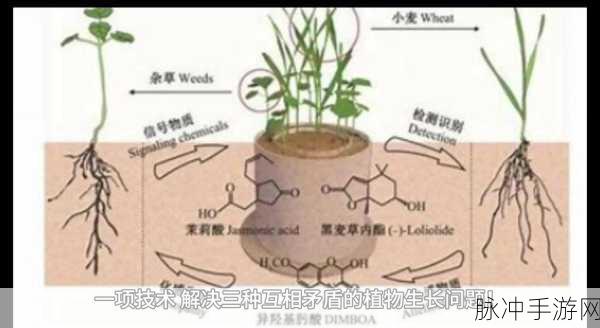 深度解析重生细胞壁垒作用及其在植物生长机制中的启示