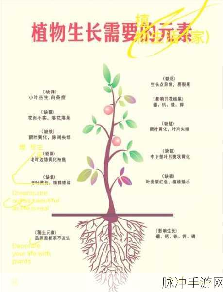 深度解析重生细胞壁垒作用及其在植物生长机制中的启示
