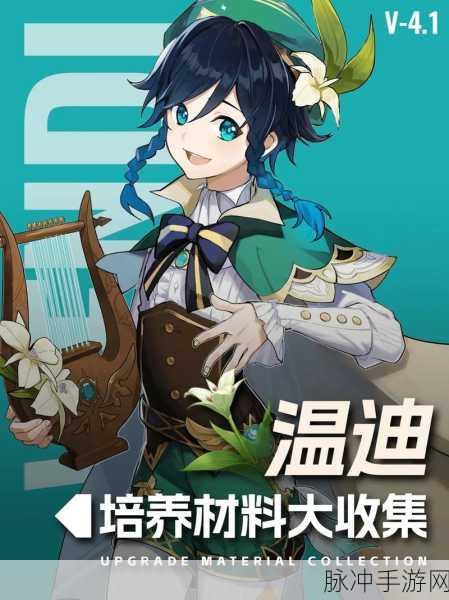 原神角色深度剖析,温迪在当前版本中的价值与培养策略