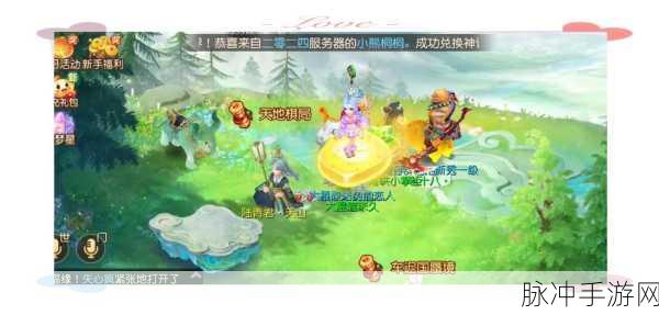 梦幻西游手游攻略,深度解析69级养生之道点满上限