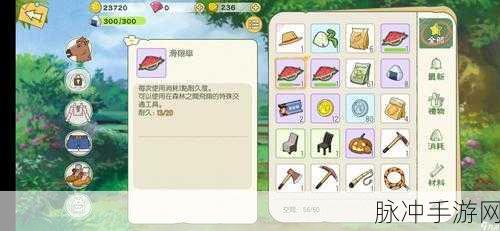 小森生活滑翔伞使用指南，从入门到精通全攻略