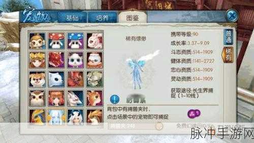 梦幻新诛仙手游宠物寿命增加全攻略