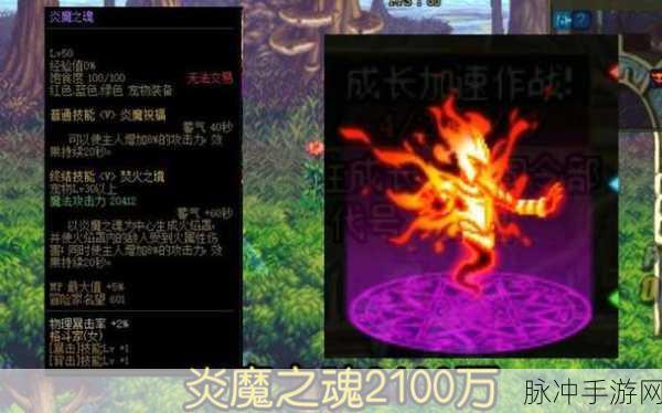DNF天帝玩家必备,宠物选择全攻略深度解析